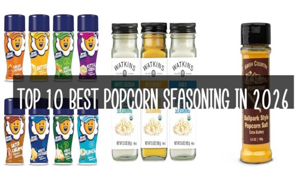 Top 10 Best Popcorn Seasoning in 2026