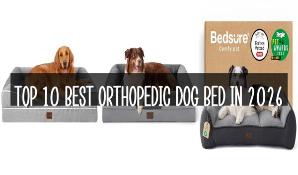 Top 10 Best Orthopedic Dog Bed in 2026